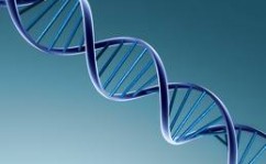dna dna