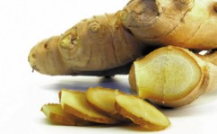 GINGER GINGER