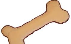 bone bone