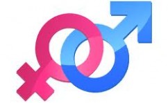 malefemale malefemale