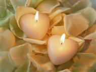 candles candles