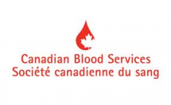 blood blood