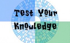 quiz quiz